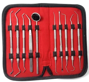 10 Pcs Professional Plaque Remover Kit Oral Care Tools Stainless Steel Double Ended Dental Picks with Scraper, Mouth Mirror, Tweezers & Plugger for Gum Care Cleaning Set with Carrying Case