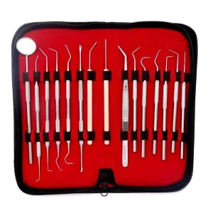 15 Pcs Oral Hygiene Kit Plaque Remover Professional Dental Picks Set Double & Single Ended Picks   Scraper, Mouth Mirror & Tweezers for Gum Care Cleaning Set Stainless Steel with Carrying Case