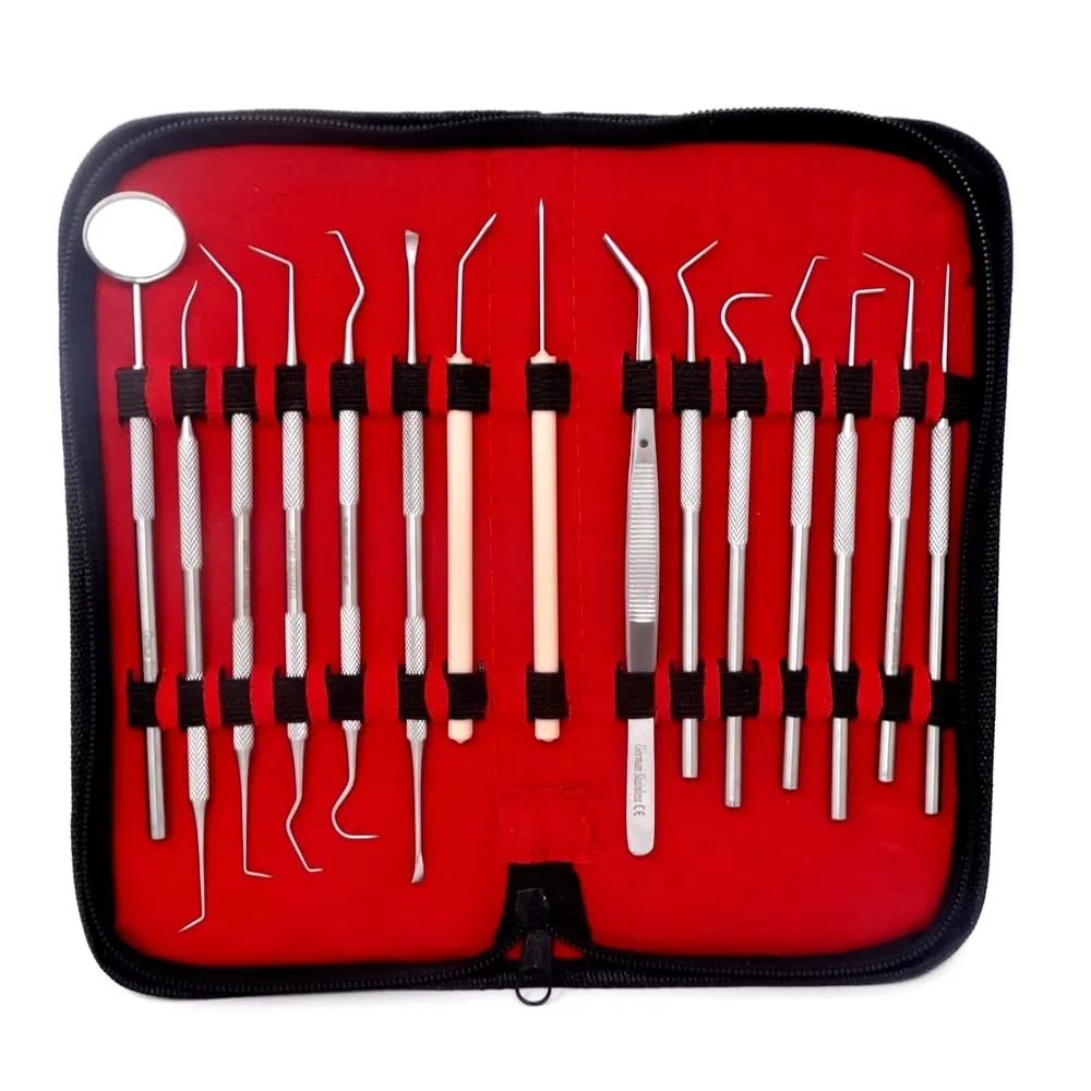 15 Pcs Oral Hygiene Kit Plaque Remover Professional Dental Picks Set Double & Single Ended Picks   Scraper, Mouth Mirror & Tweezers for Gum Care Cleaning Set Stainless Steel with Carrying Case