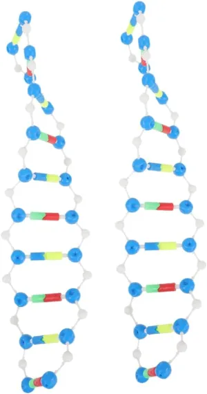 2pcs DNA Model Kit Self-Assembling Double Helix Components Educational Biology Teaching Aid for Students Accurate Structure for Science Learning and Laboratory Use