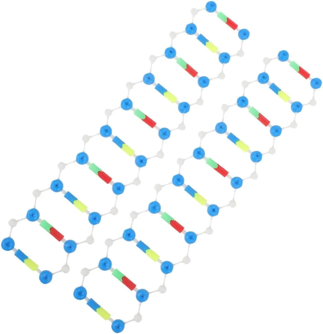 2pcs Double Helix Structure Model Components Self Assembling DNA Model for Science Education Essential Teaching Tool for Biology Concepts and Student Engagement