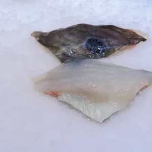 Baby John Dory Fillets