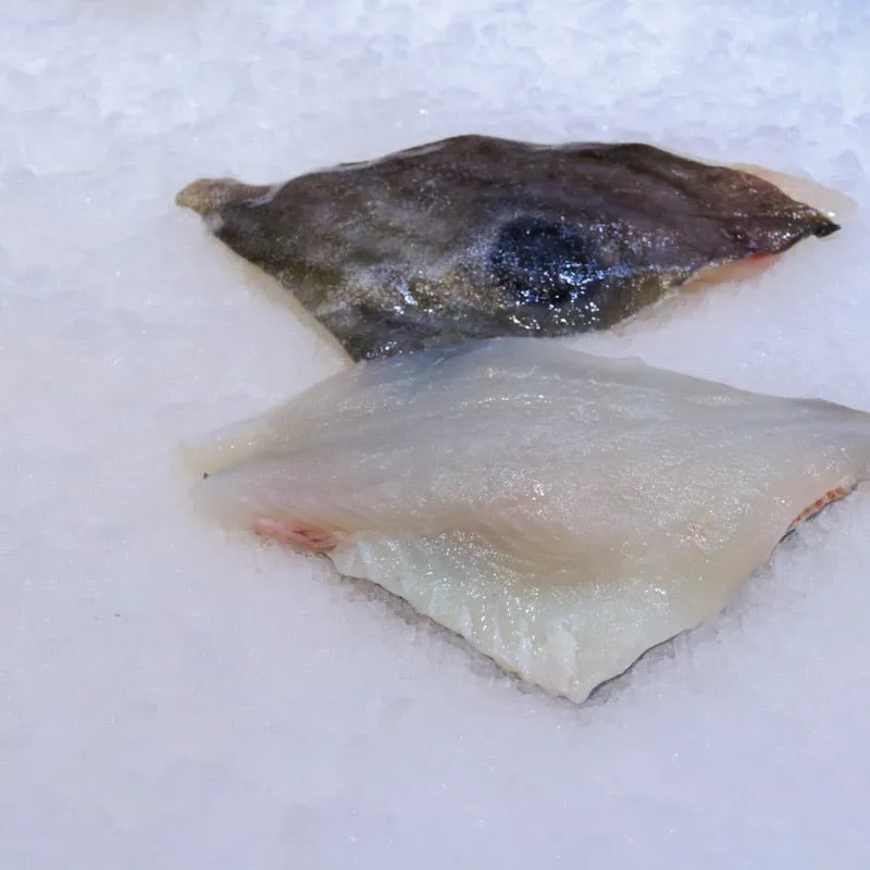 Baby John Dory Fillets