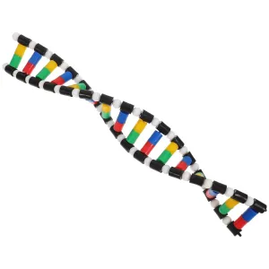 Cabilock DNA Model Kit for Students Accurate Double Helix Model Plastic Build for Lab Use
