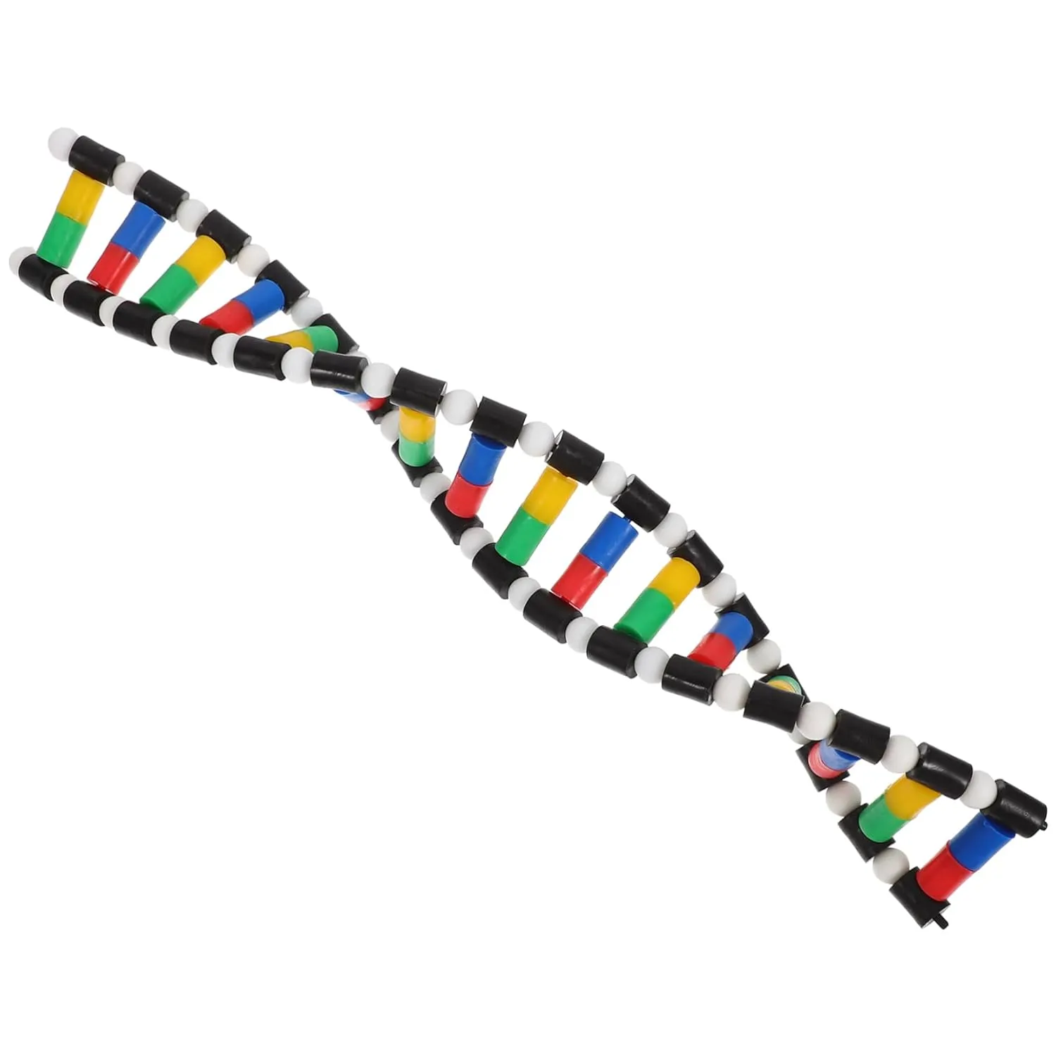 Cabilock DNA Model Kit for Students Accurate Double Helix Model Plastic Build for Lab Use