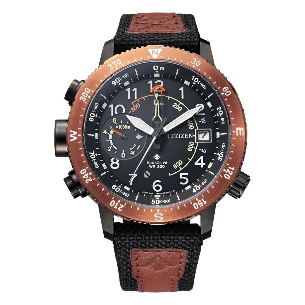 Citizen Brown & Black Band Solar Men's Watch - BN4049-11E
