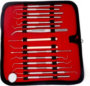 Dental Care Set Dentist Tools Kit of 15 Pcs Professional Calculus and Plaque Remover Dental Hygiene Set Made of Stainless Steel Tarter Scraper, Tooth Pick and Mouth Mirror for Teeth
