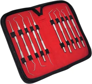 Dental Tools 10 Pack Stainless Steel Teeth Cleaning Tools Set to Use as Oral Care Hygiene Kit Includes Plaque Tartar Calculus Remover Micro Probes in a Pouch Perfect for Dentist Pets Adults Kids
