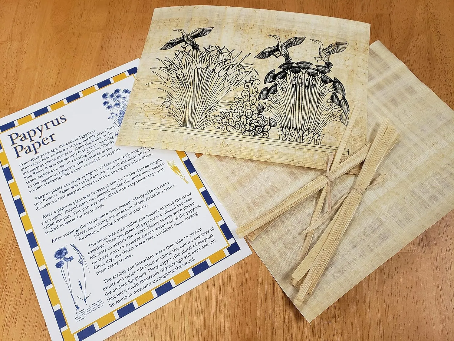 Discoveries Egyptian Imports Papyrus Activity Kit - Educational Papyrus Paper Craft Kit - Made in Egypt