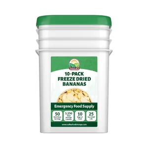 Freeze Dried Banana Slices 10-Bag Bucket, 53 Oz | Premium Emergency Food Supply 25 Year Shelf Life | Prepper Supplies, Survival Food, Off Grid Living Supplies | Valley Food Storage Packaged in USA