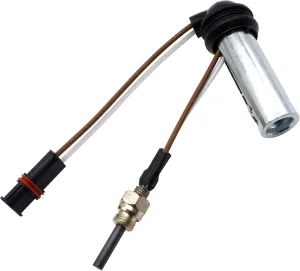 HiSport Diesel Heater Glow Plug Compatible With Eberspacher Airtronic D2 D4 D4S Air & Diesel Parking Heaters 252069011300