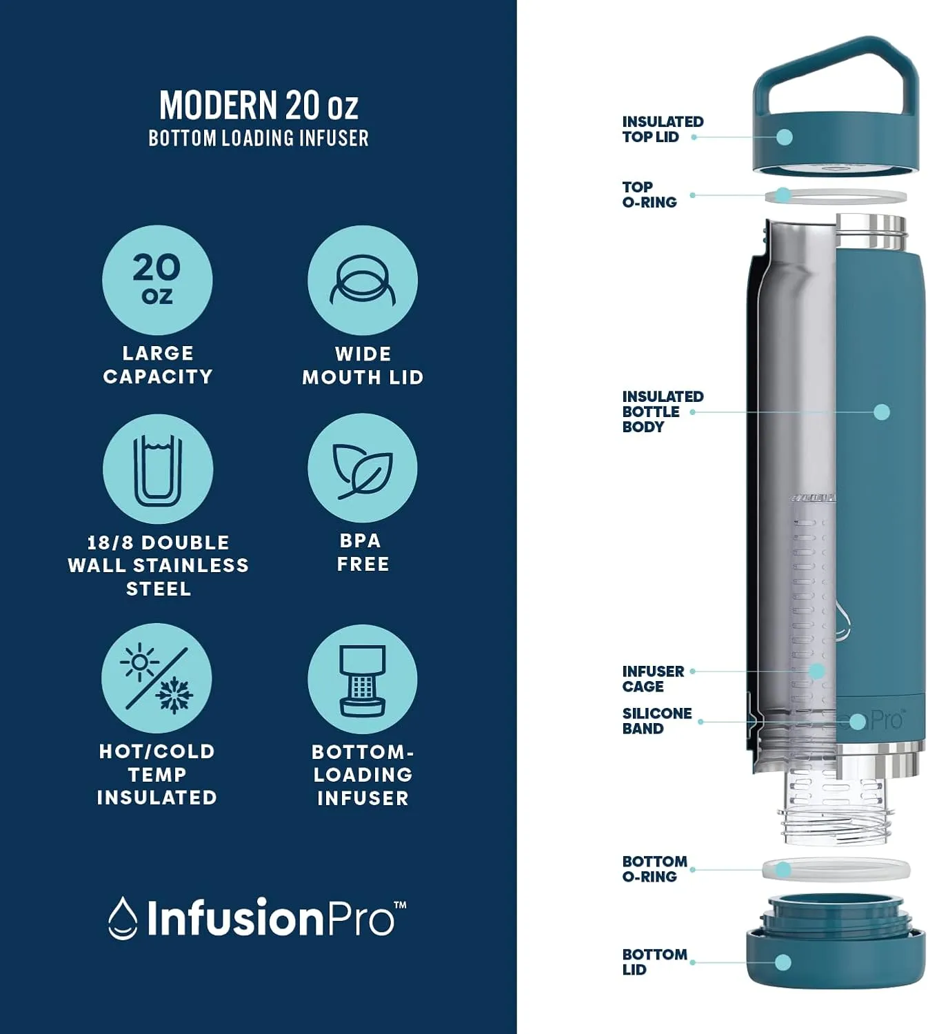 Infusion Pro Fruit Infuser Water Bottle - Vacuum Insulated (20 oz) Stainless Steel : Fruit Infusion Recipe eBook : Bottom Loading for More Flavor : Easy Cleaning : Great Gift