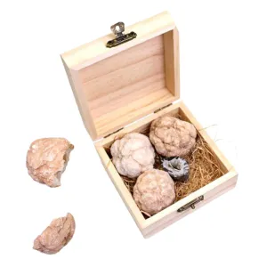Interactive Geology Kit Crystal Ball Raw Ore Rock Collection for Boys and Girls Adults