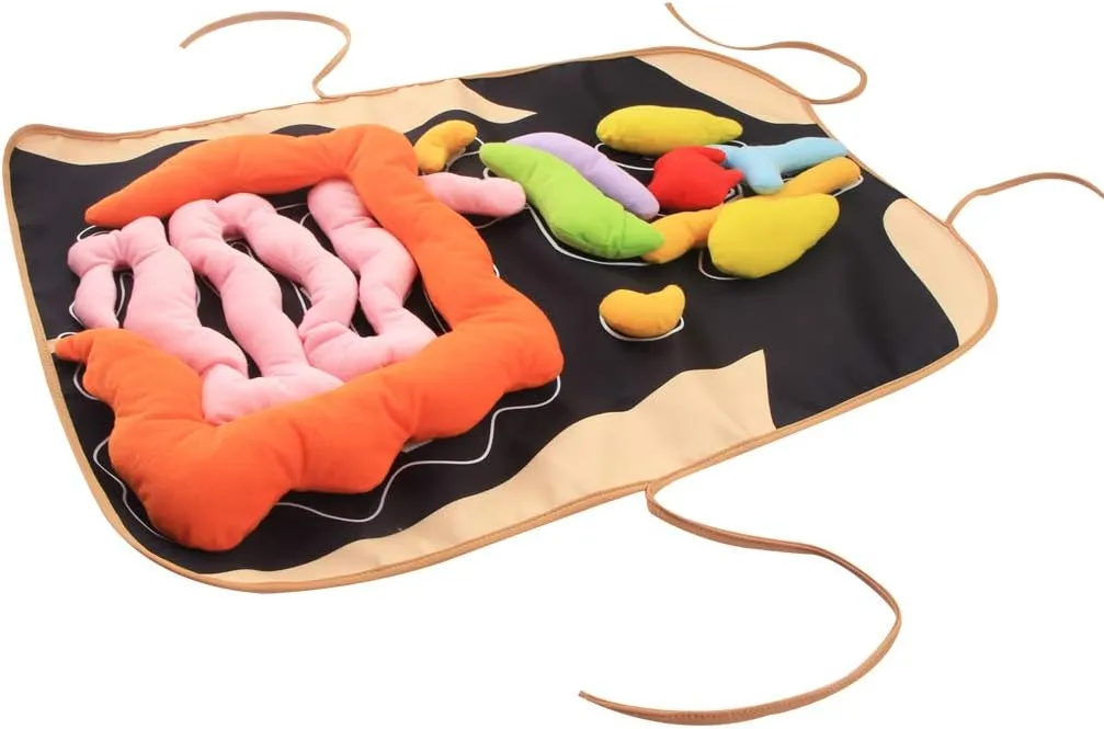 KAKIBLIN 3D Organ Apron, Anatomy Apron Human Body Organs,Human Body Anatomy Toy Awareness Educational Toy Learning Toys for Boys Girls Home Preschool Teaching Aid, Black