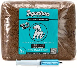 King Trumpet Mushroom Growing Kit – Organic 5LB Indoor Cultivation Bag with Liquid Culture Syringe – Grow Gourmet Mushrooms at Home – Beginner Friendly, Edible, Easy, Great Gardening Gift, USA Made