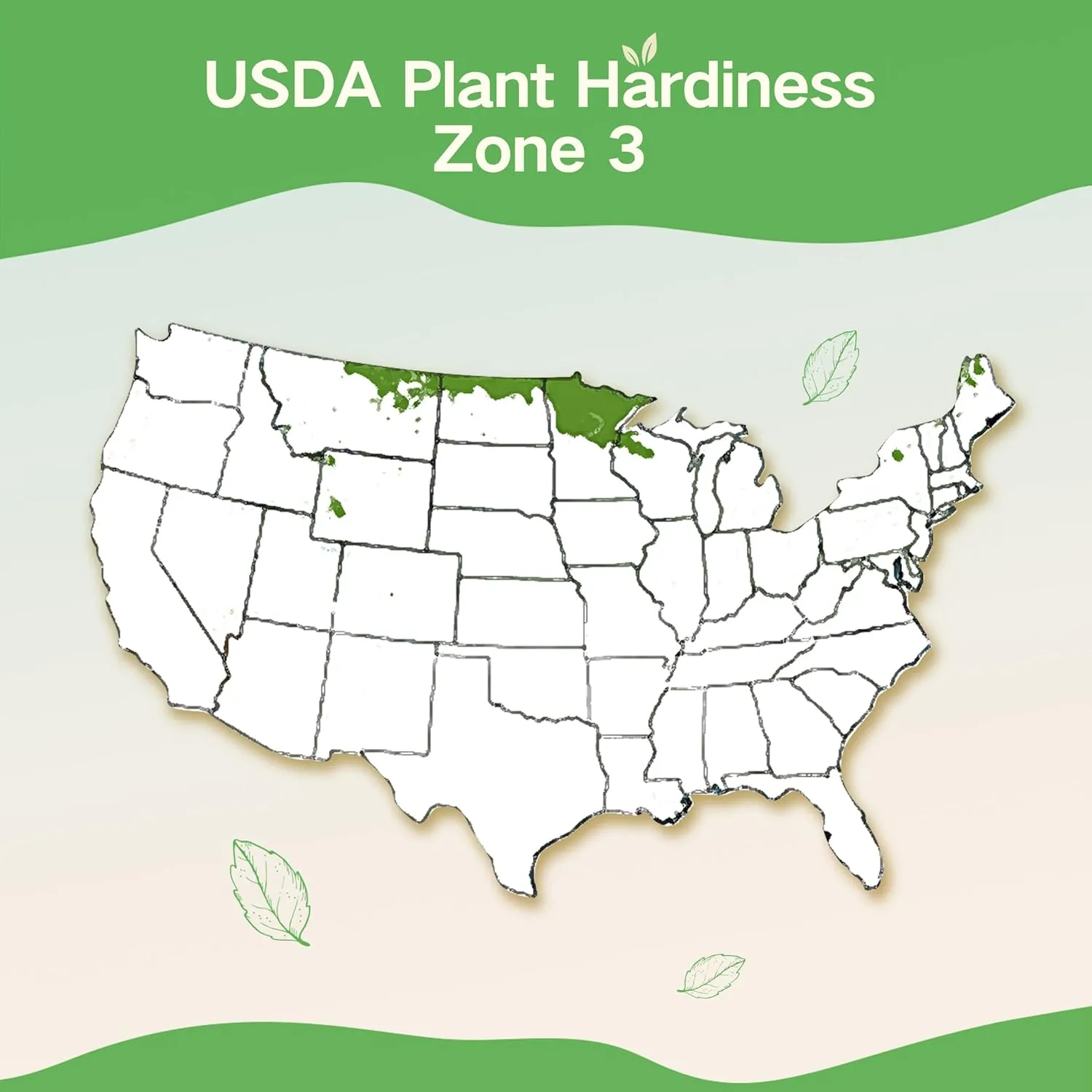 Lush&Dew Year-Round USDA Zone 3 Seed Bank, 32 Varieties Non-GMO Seeds of Vegetables, Herbs, Flowers, Fruits, Gardening Gifts, Emergency, Survival Gear Food, Indoor Outdoors Gardening (USDA Zone 3)