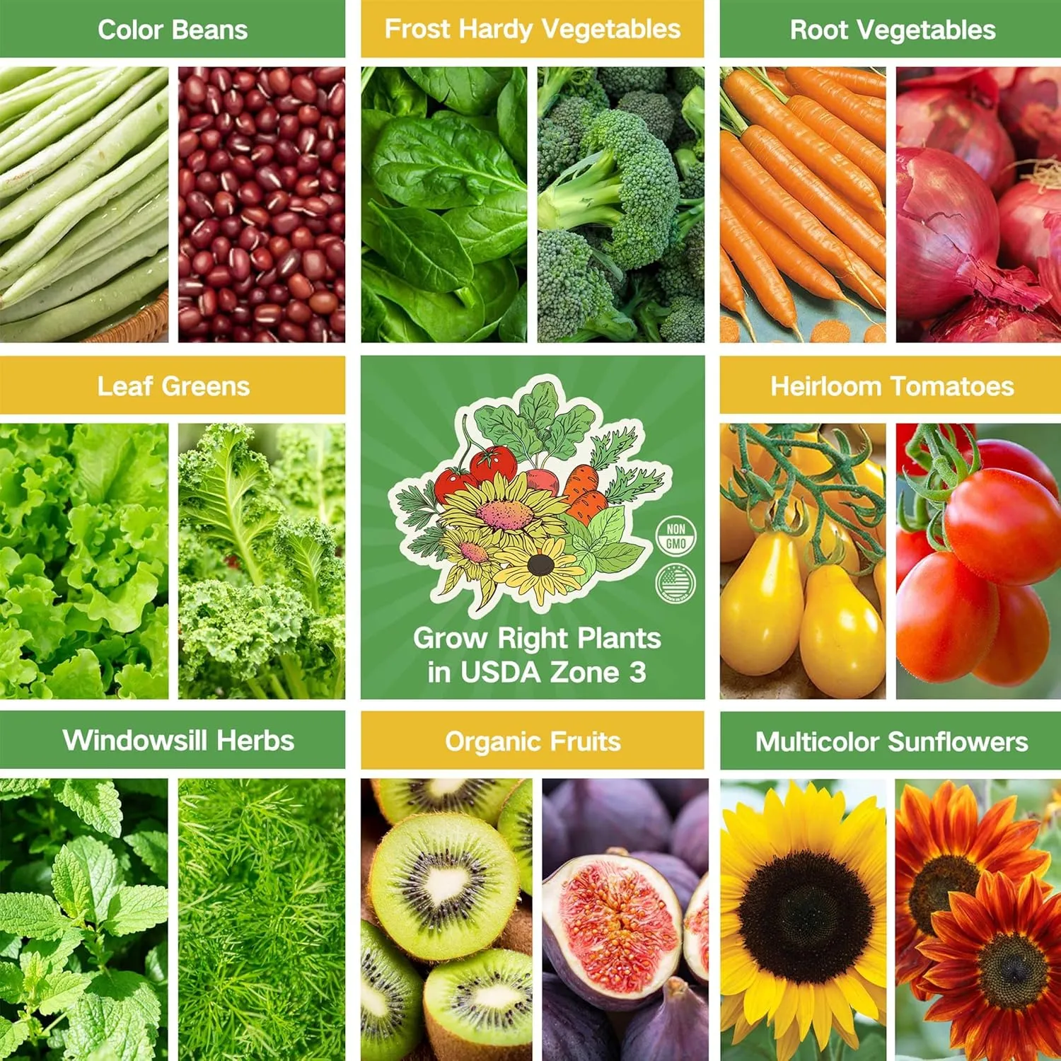 Lush&Dew Year-Round USDA Zone 3 Seed Bank, 32 Varieties Non-GMO Seeds of Vegetables, Herbs, Flowers, Fruits, Gardening Gifts, Emergency, Survival Gear Food, Indoor Outdoors Gardening (USDA Zone 3)