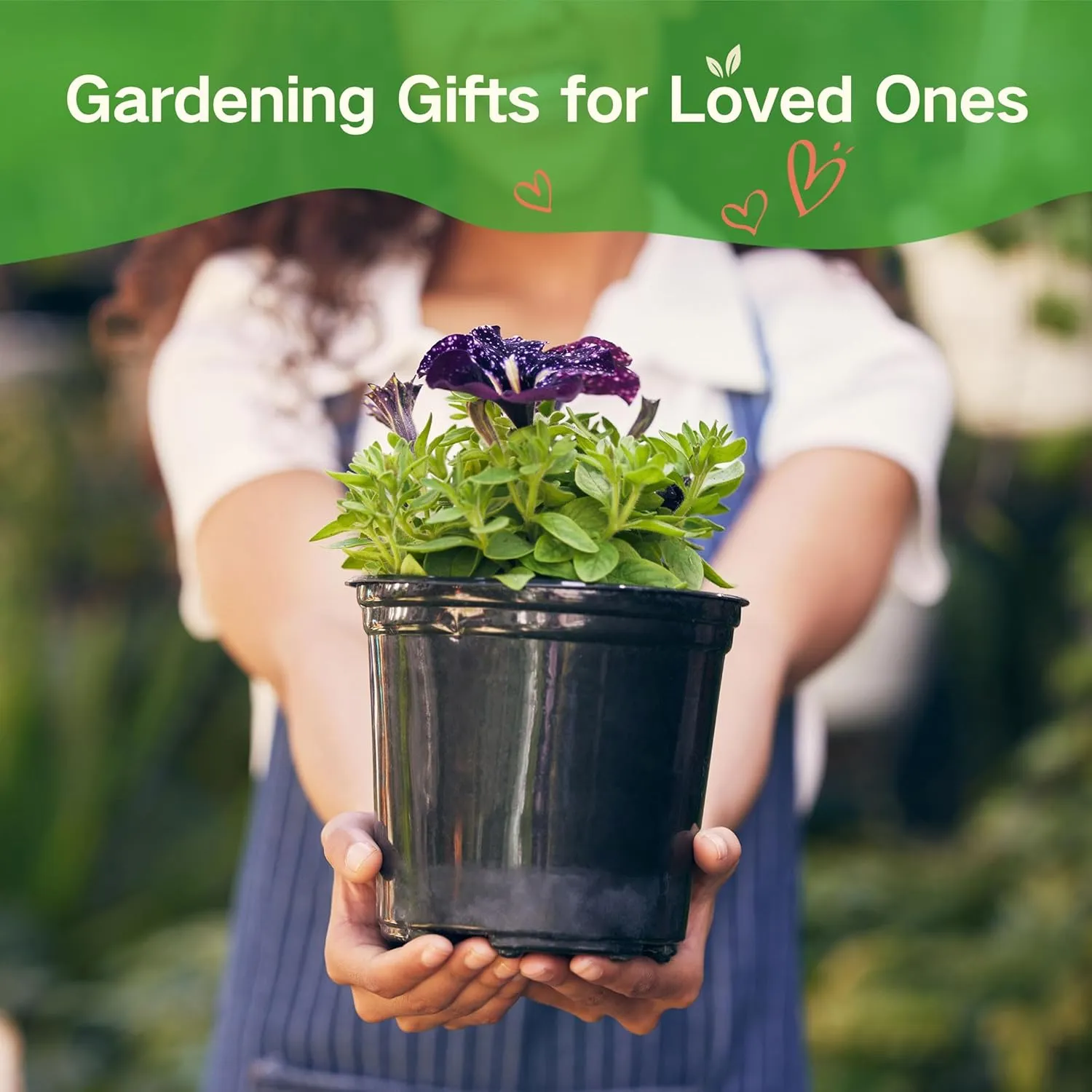 Lush&Dew Year-Round USDA Zone 3 Seed Bank, 32 Varieties Non-GMO Seeds of Vegetables, Herbs, Flowers, Fruits, Gardening Gifts, Emergency, Survival Gear Food, Indoor Outdoors Gardening (USDA Zone 3)
