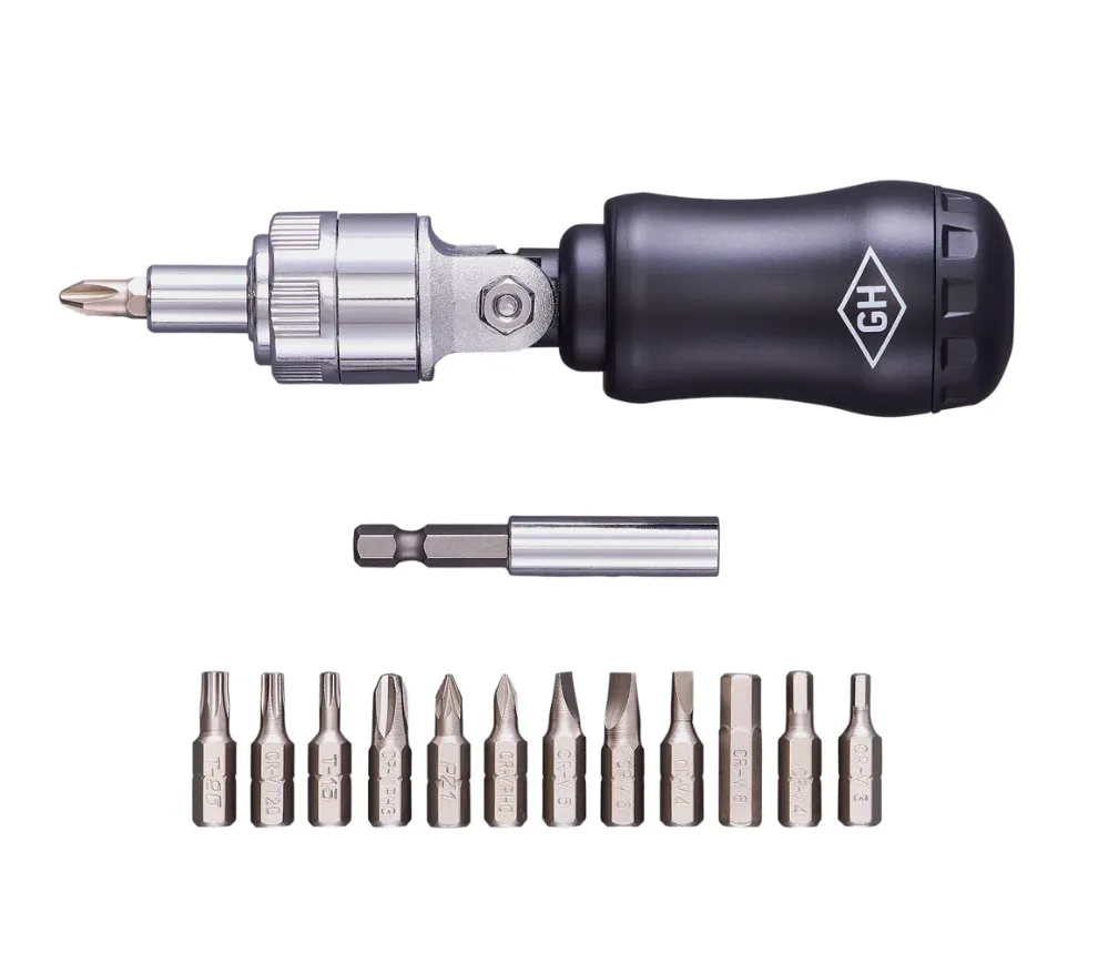 Multi Cacciavite 12-in-1