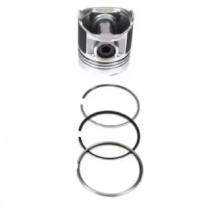 Piston and Rings - Standard Single Cylinder TC33 SBA115017541