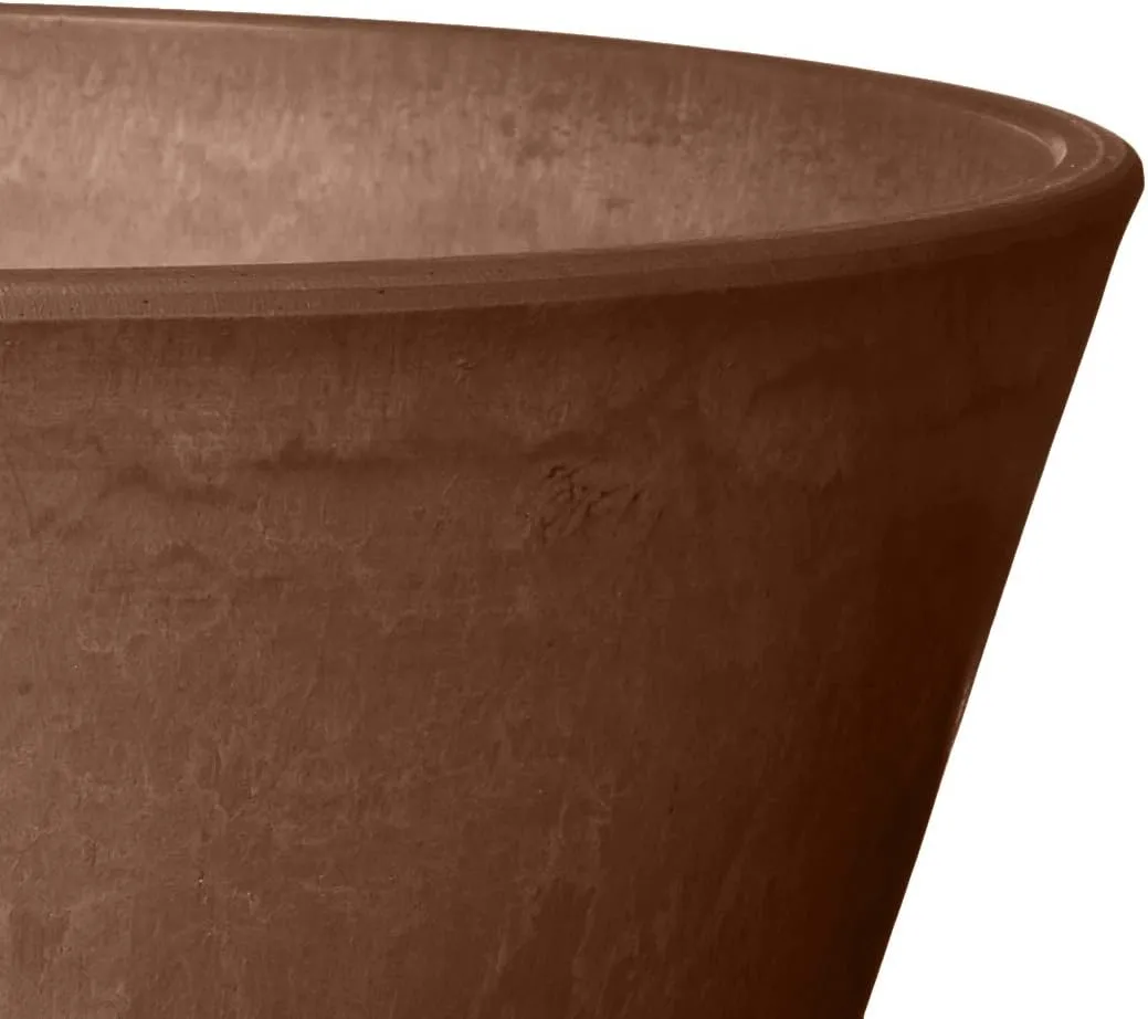 PSW Pot TD25C Collection Shallow Bulb Pan Planter for Succulents, Bonsai, Fairy Gardens, Herbs, 10-inch, Chocolate