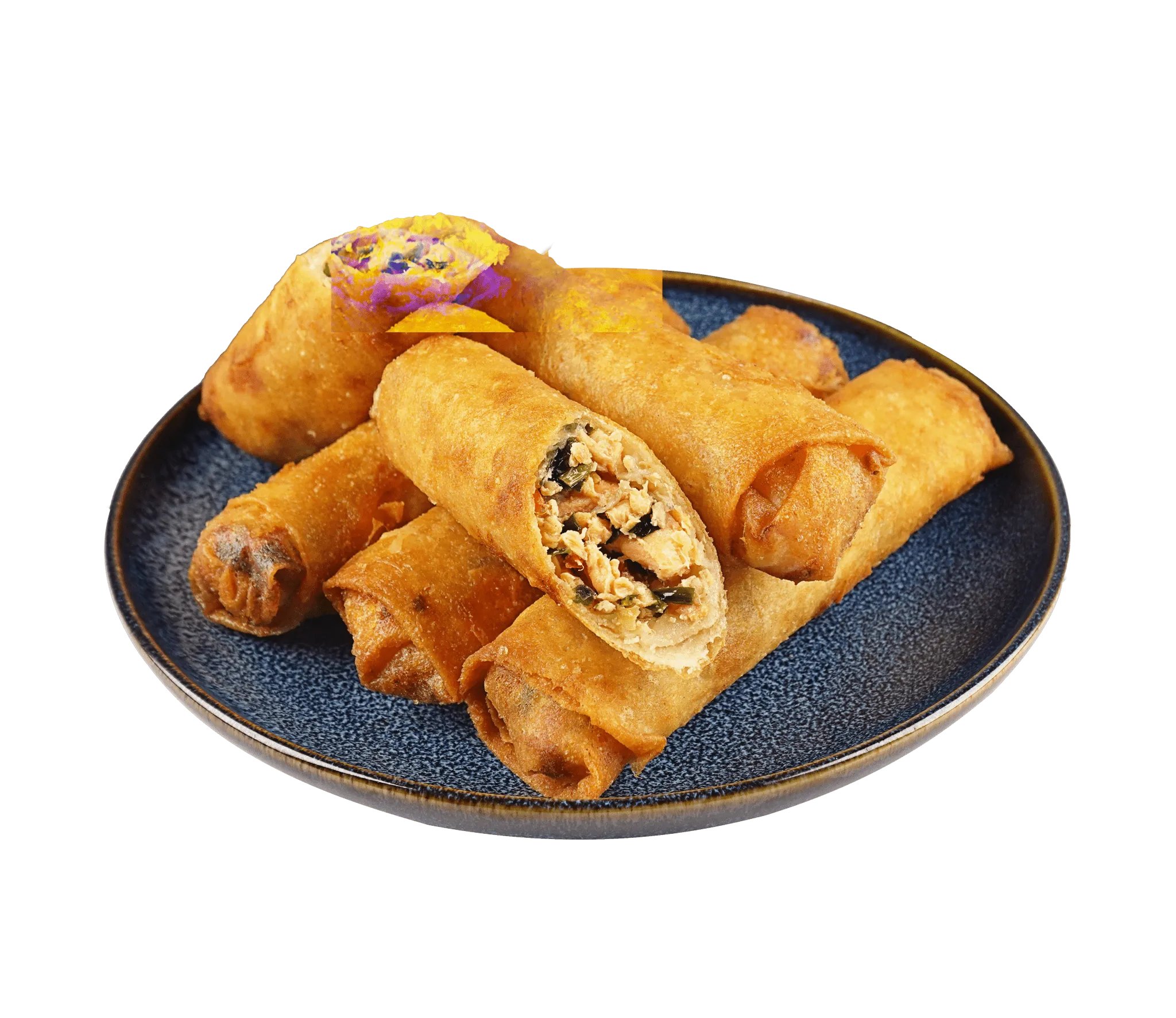 Salmon Spring Rolls