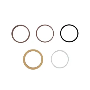 Stevens Lake Parts Interchangeable 7163219 Track Tensioner Seal Kit Fits Bobcat T200 T250 T300