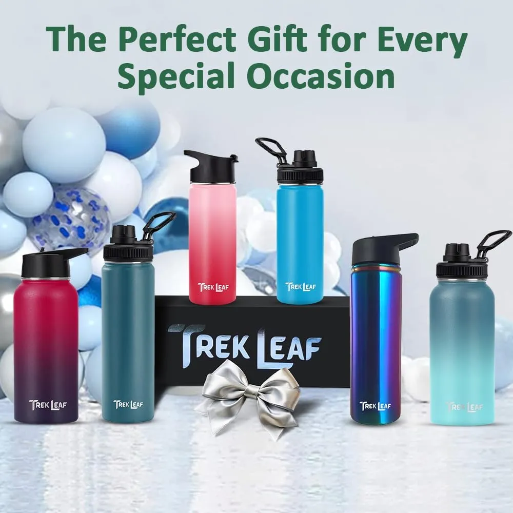 Travel Water Bottle with 3 Lids (Spout, Straw, Flip) Leak Proof, Quality, Vacuum Insulated, Stainless Steel (Day & Night, 22 oz)