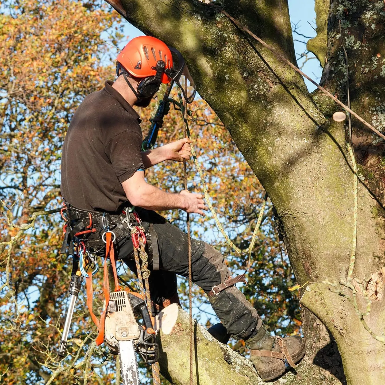 Tree Climbing Spikes,Tree Climbing Gear,Tree Climbing Kit Suitable for Climbing Trees, Picking Fruits,etc