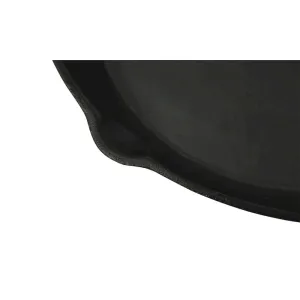 XL BBQ Grill Fry Pan Cast Iron 11.8'' Round - vidaXL
